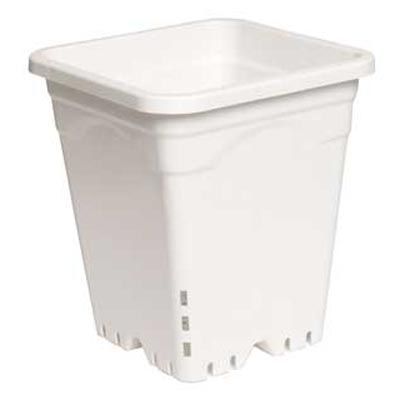 12"x12" Square White Pot