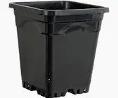 9"x9" Square Black Pot 10"