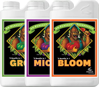 Bloom 4L