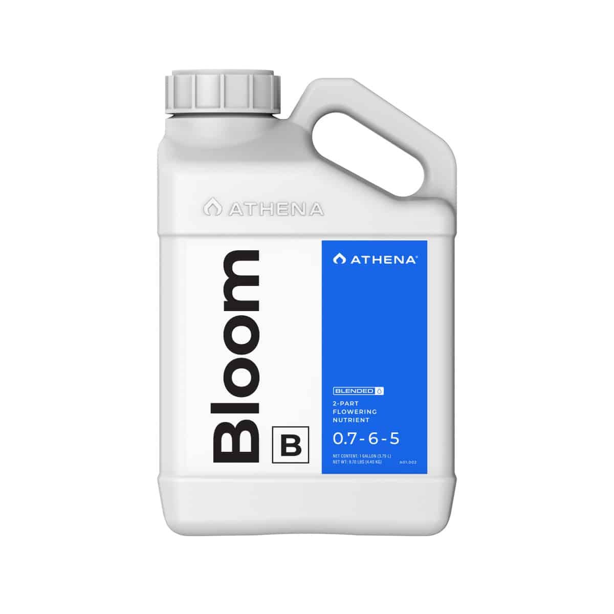 Athena Bloom B 4L
