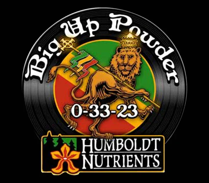 Big Up Powder 4 oz.