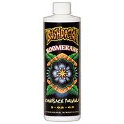 Bushdoctor Boomerang 1 pt