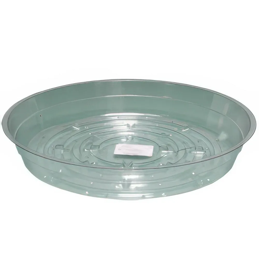 Clear Saucer 10"