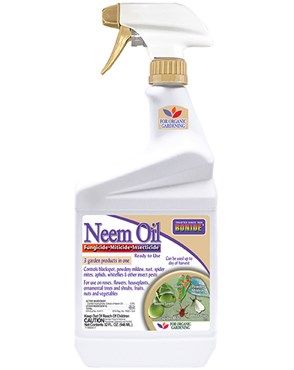 Capt Jacks Neem Oil Qt