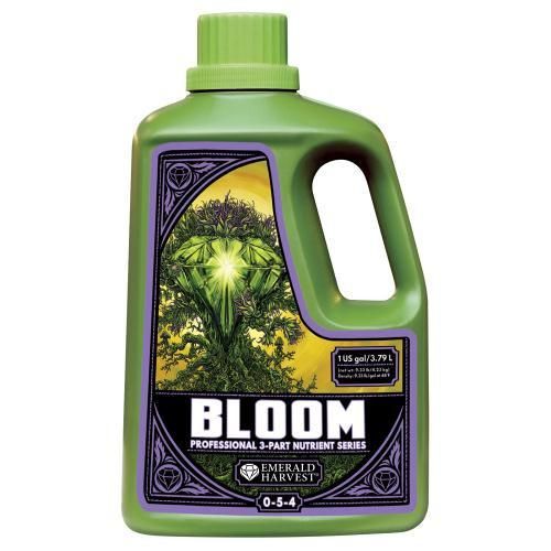 EH Bloom 4L
