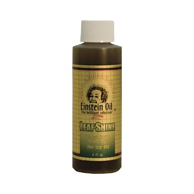 Einstein Oil 4oz