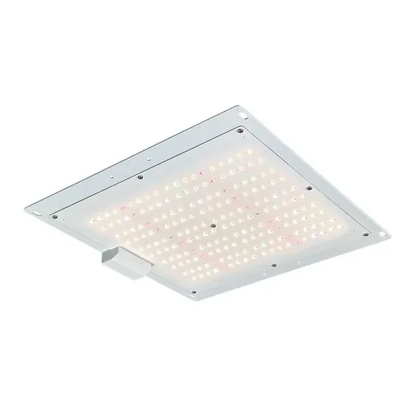 Growbright EC-1000 Econ LED