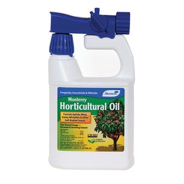 Horticultural Oil Quart