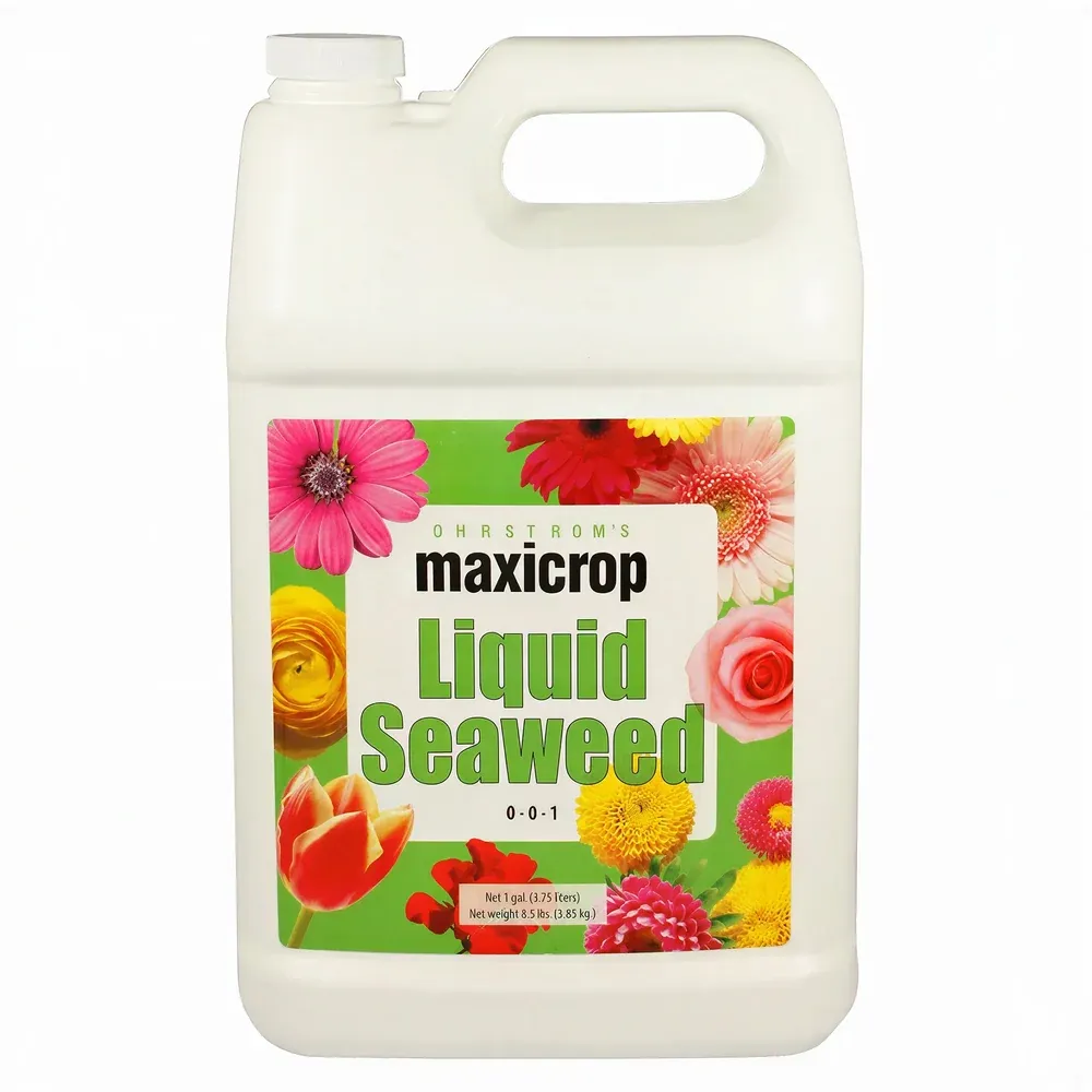 Original Liquid Seaweed Gallon