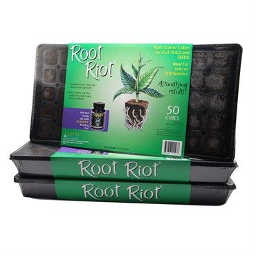 Root Riot Replacement Cubes - 50 Cubes