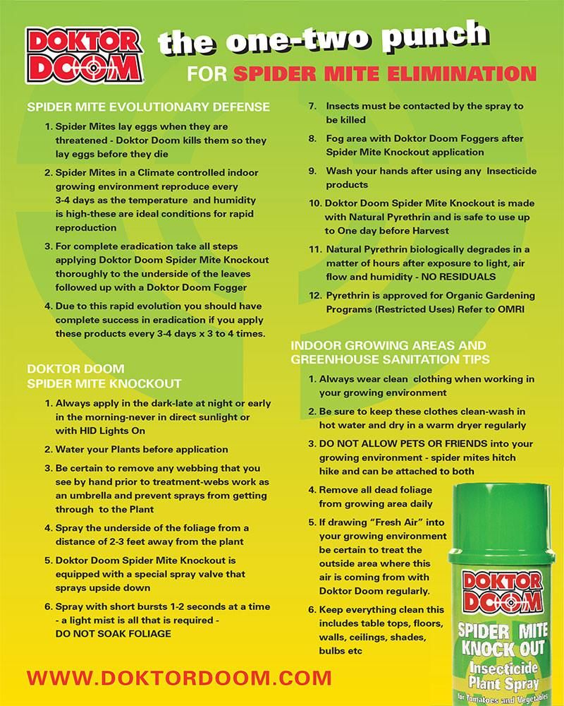 Spider Mite Knock Out Pint