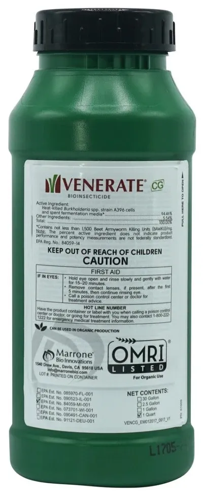 Venerate CG Quart