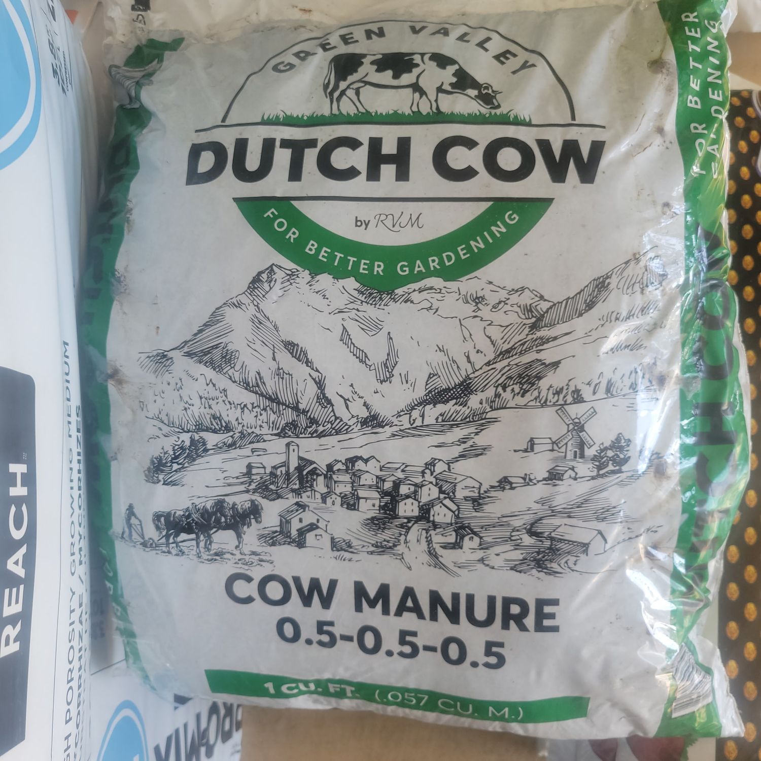 Dutch Cow 1cf