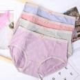 Cute Printed Women's Panties 卡通熊头女士内裤 25545