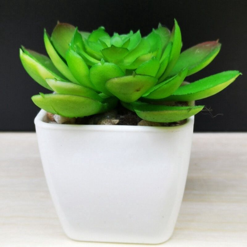 Huiya Succulent Artificial Plant Plastic Flower : 开心果 22407