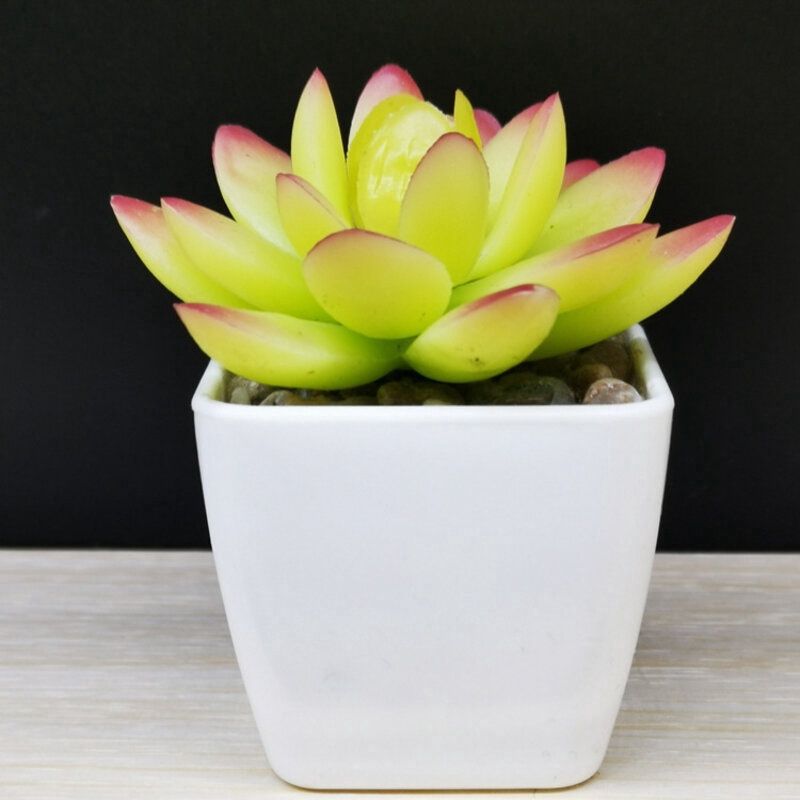 Huiya Succulent Artificial Plant Plastic Flower : 5角莲黄色 22412