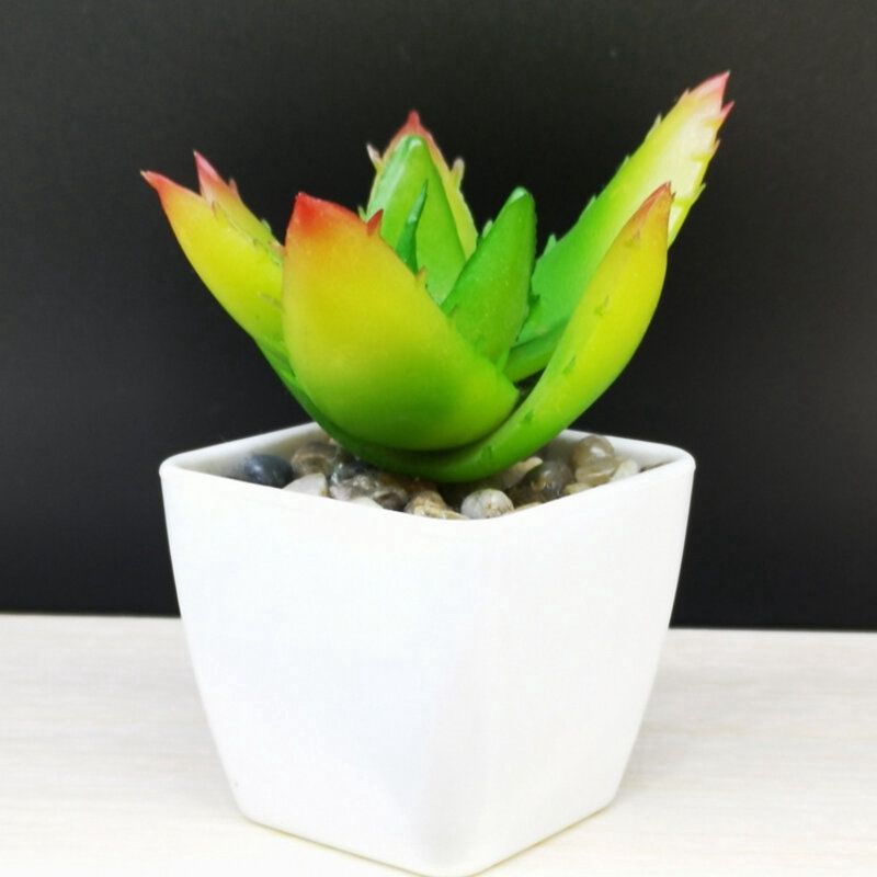 Huiya Succulent Artificial Plant Plastic Flower : 多角芦荟 22402