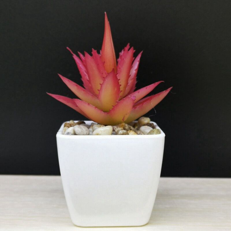 Huiya Succulent Artificial Plant Plastic Flower : 小芦荟红色 22405