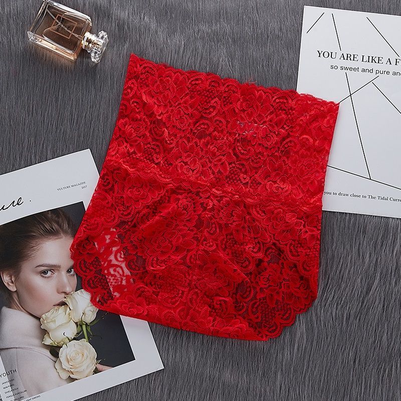 rihui 1064 High Waist Sexy Lace  Panties: Burgundy: XXXL 76750