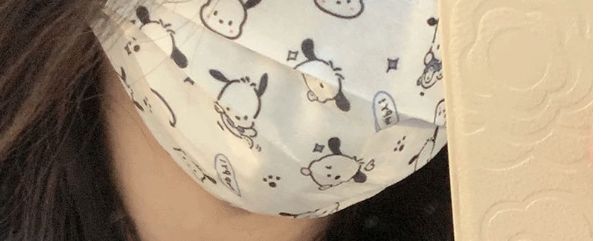 YP Adult masks 10pcs: Cute Pacha Dog Mask 93728