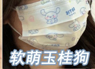 YP Adult masks 10pcs: Soft Cute Cinnamon Dog Mask 93729