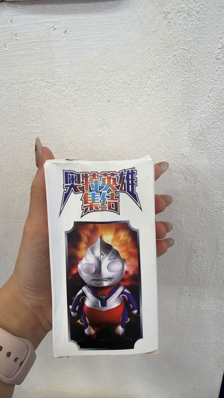 98738Blind Box6