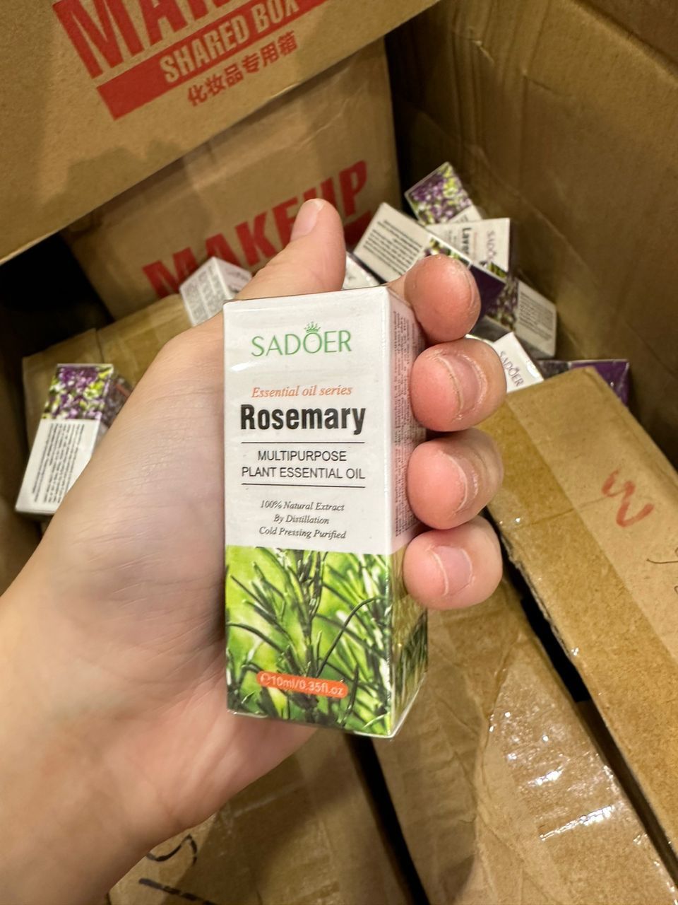 18311 SD Rosemary Oil 10ml