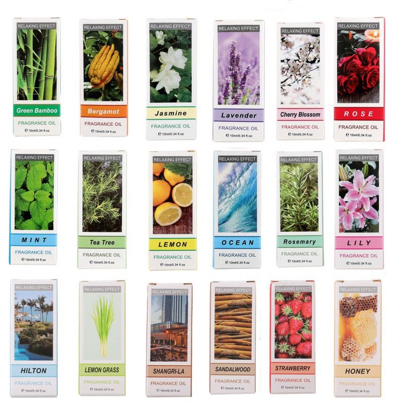 SH Fragrance Oil 10ml -  Begonia - 秋海棠 00100