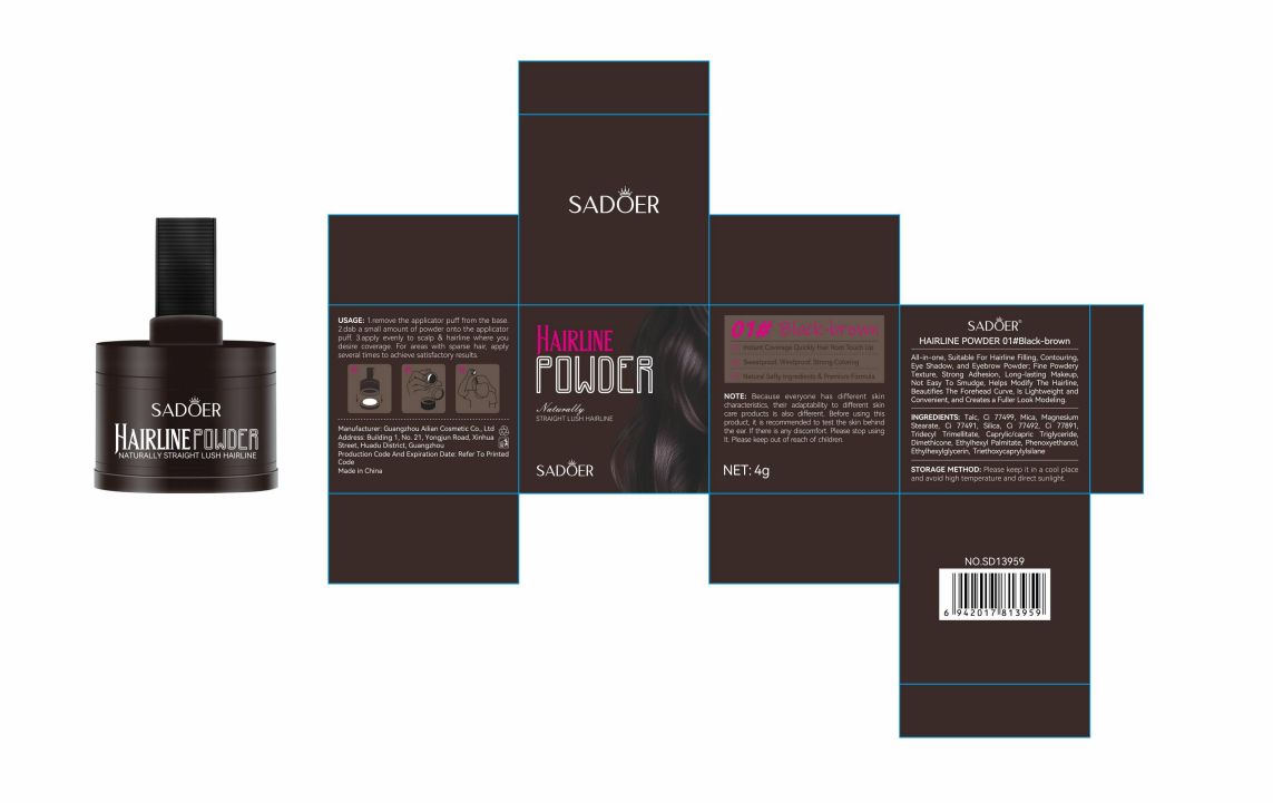 SD Hairline Powder 4g