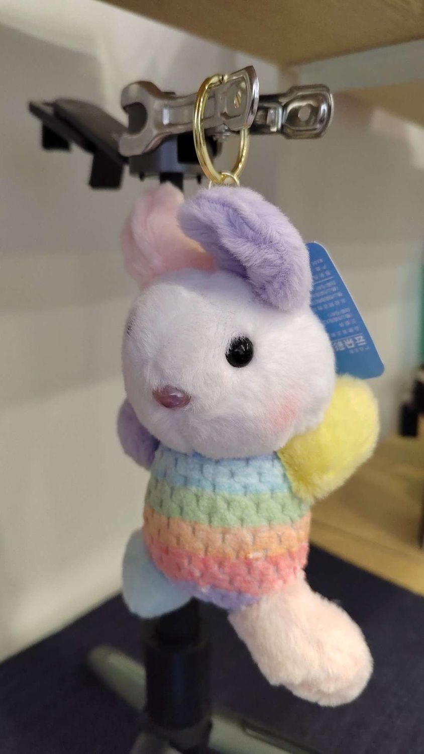 Jiedi 38103# Rainbow Chorus key chain  12 05003