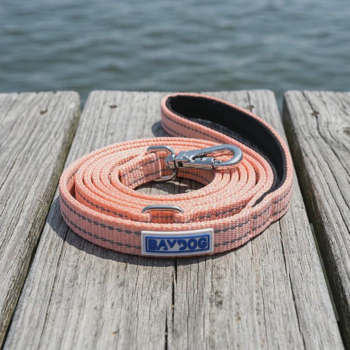 PENSACOLA LEASH PINK 6'