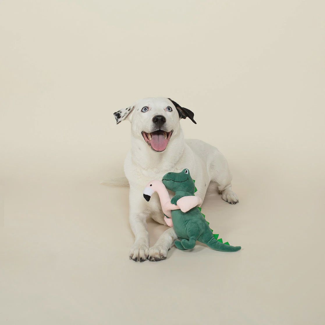 POOL TIME REX PLUSH