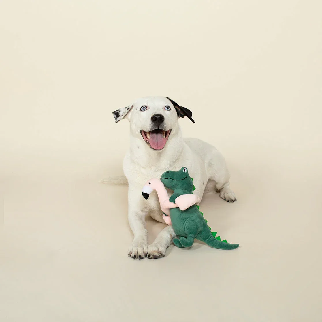 POOL TIME REX PLUSH