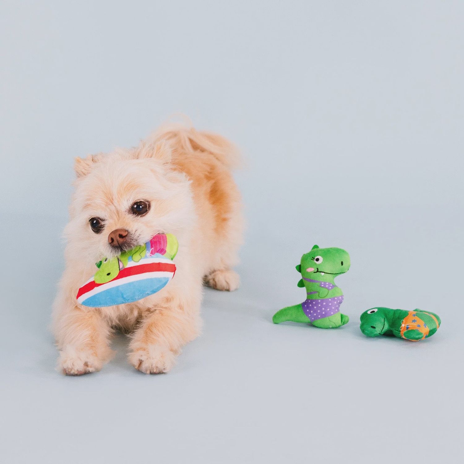 RAWRIN SUMMER 3PC SMALL DOG SET