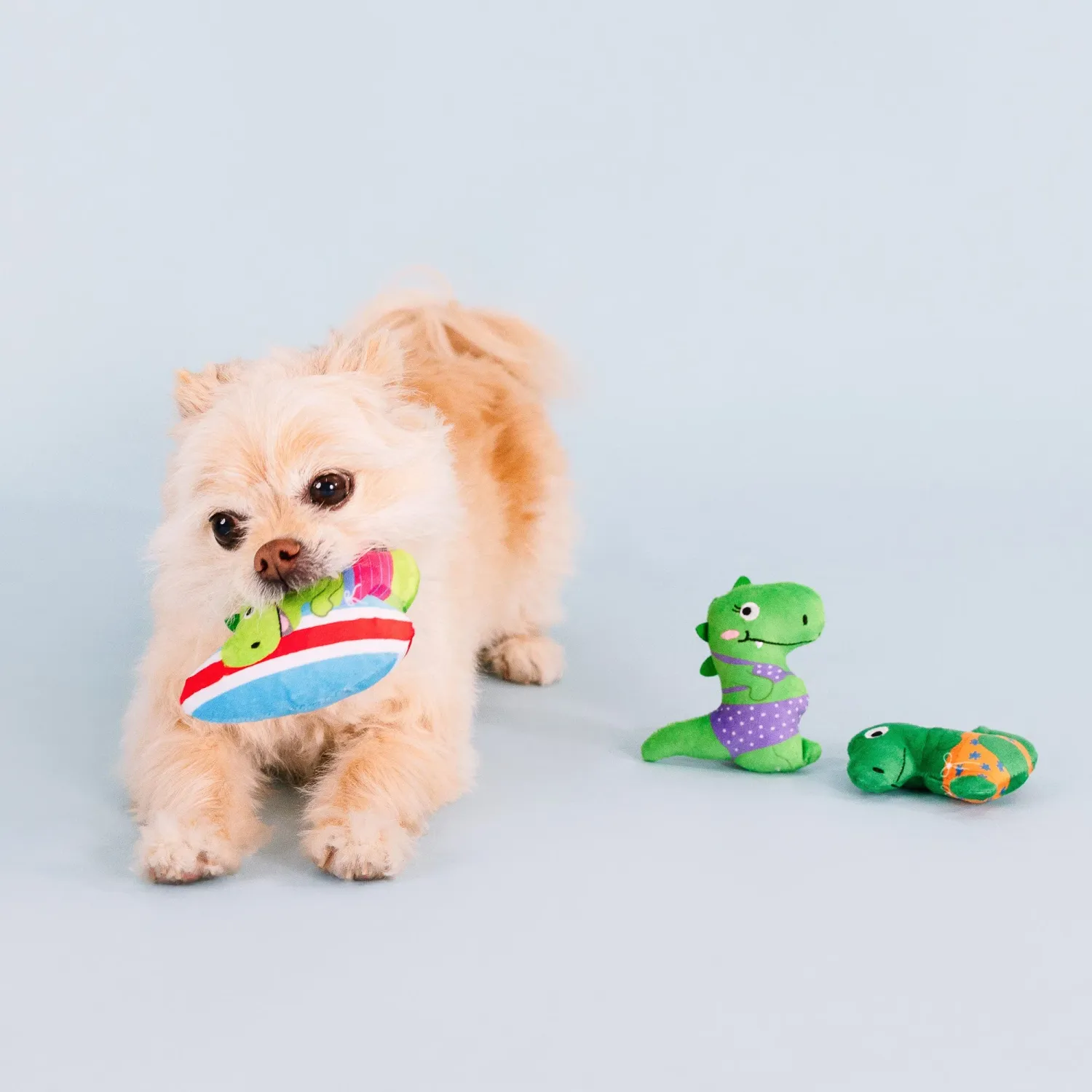 RAWRIN SUMMER 3PC SMALL DOG SET
