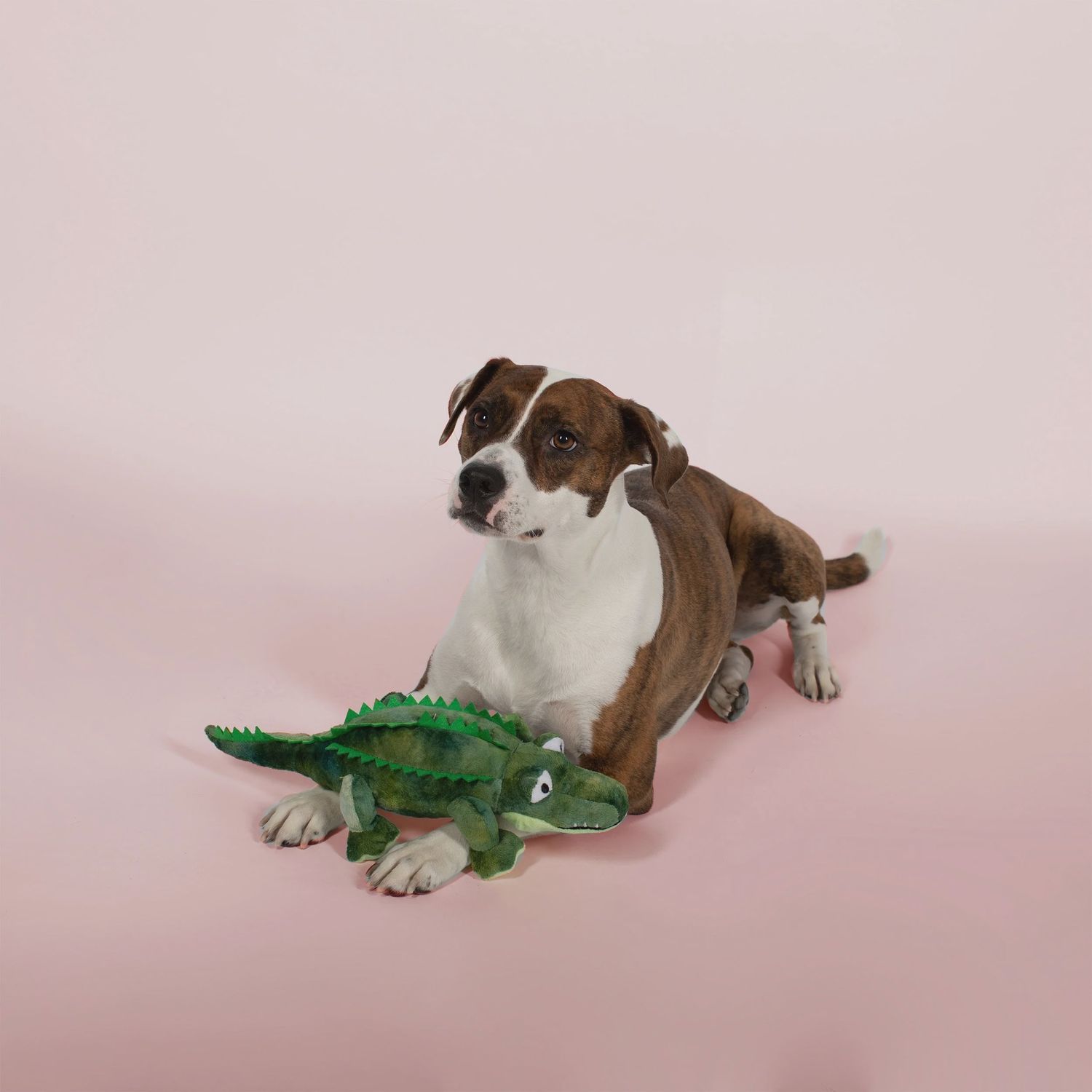 CROC-A-GATOR PLUSH