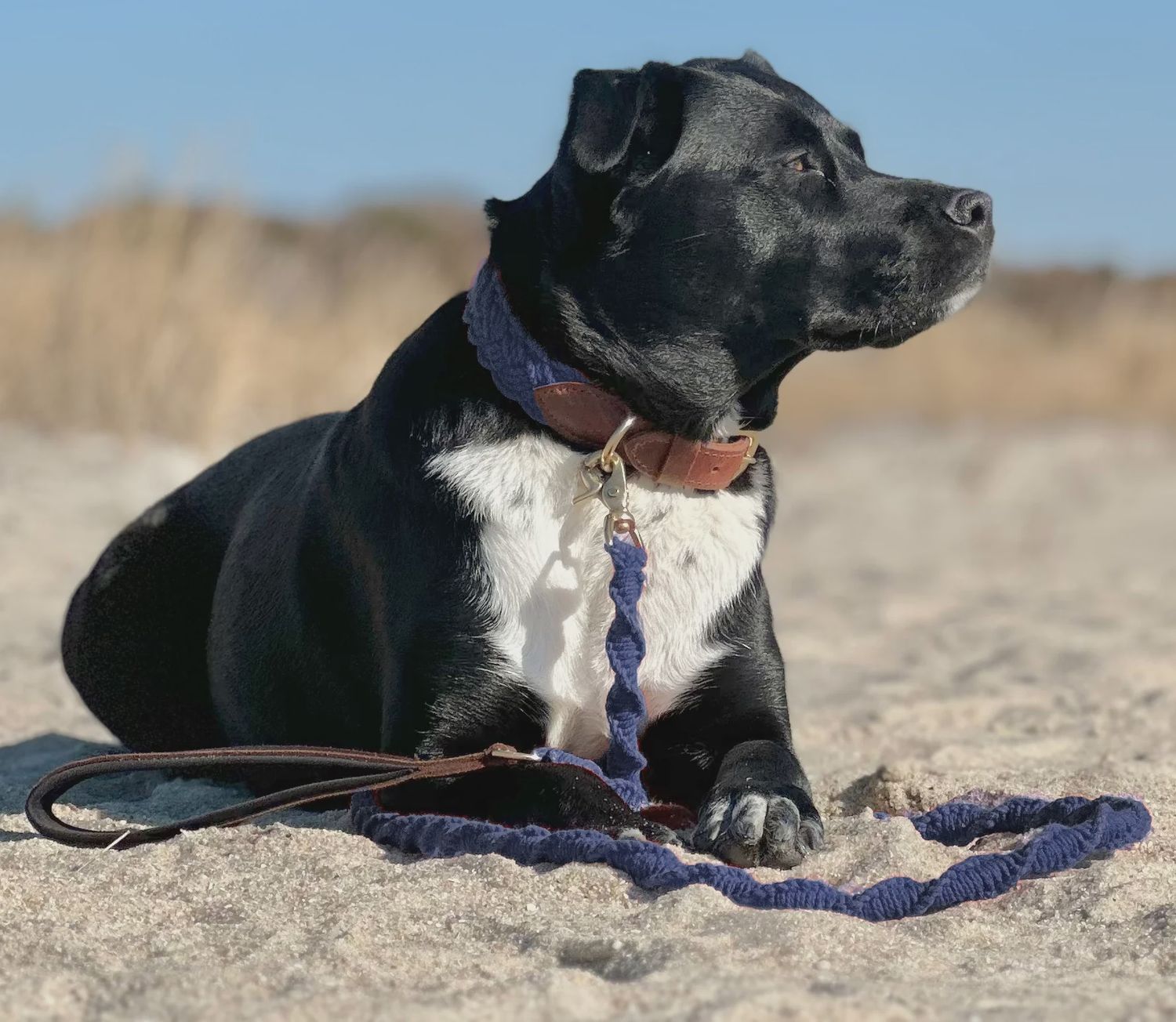 SEASIDE LEASH NAVY BLUE 6'