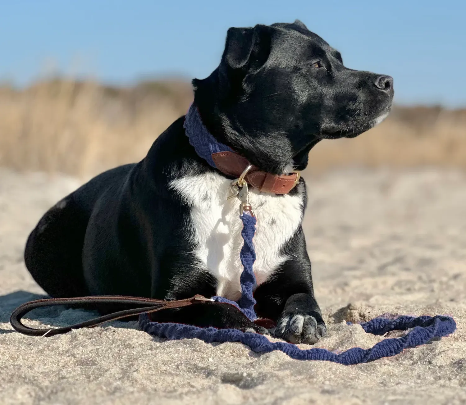 SEASIDE LEASH NAVY BLUE 6'