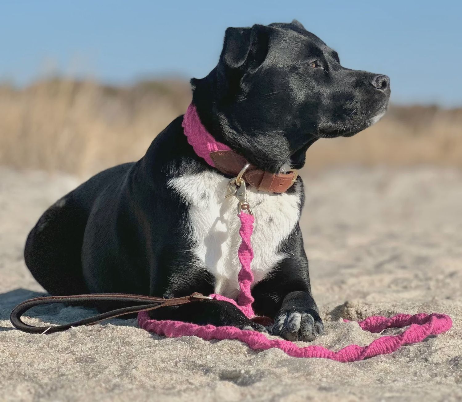 SEASIDE LEASH PINK LILY 6'