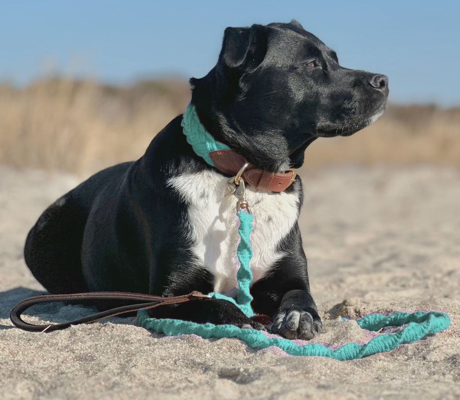 SEASIDE LEASH SEA FOAM 6'