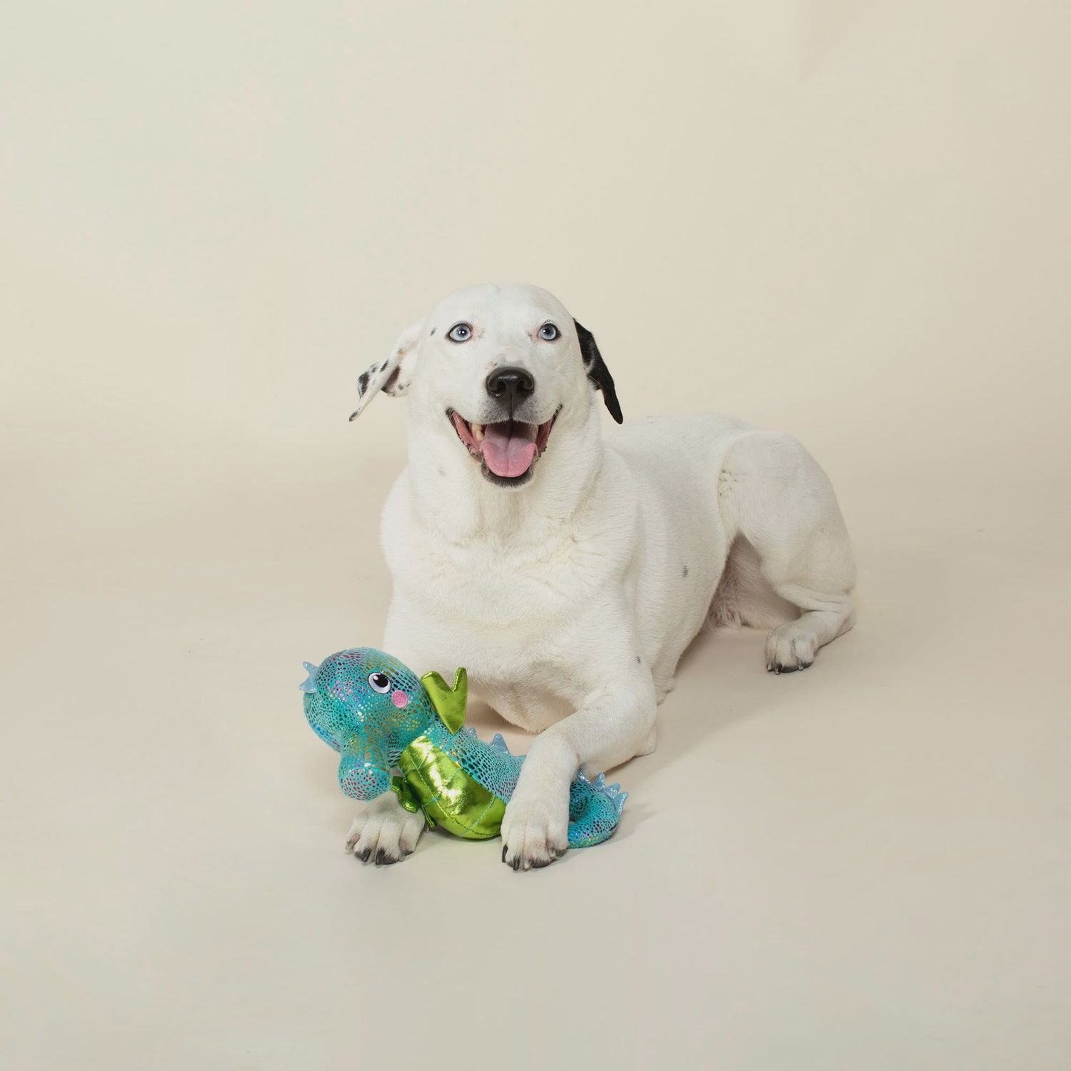 SHELLY THE  SEAHORSE PLUSH
