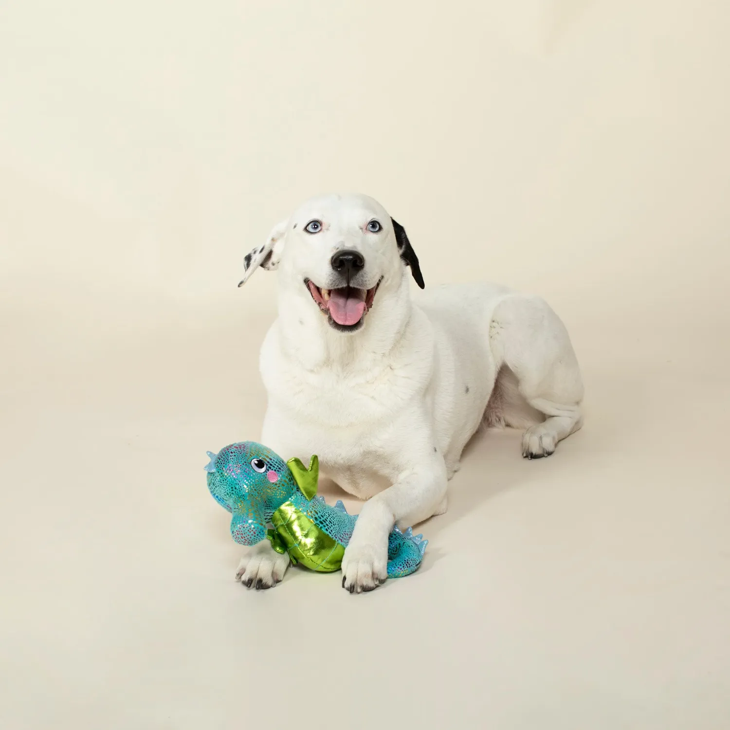 SHELLY THE  SEAHORSE PLUSH