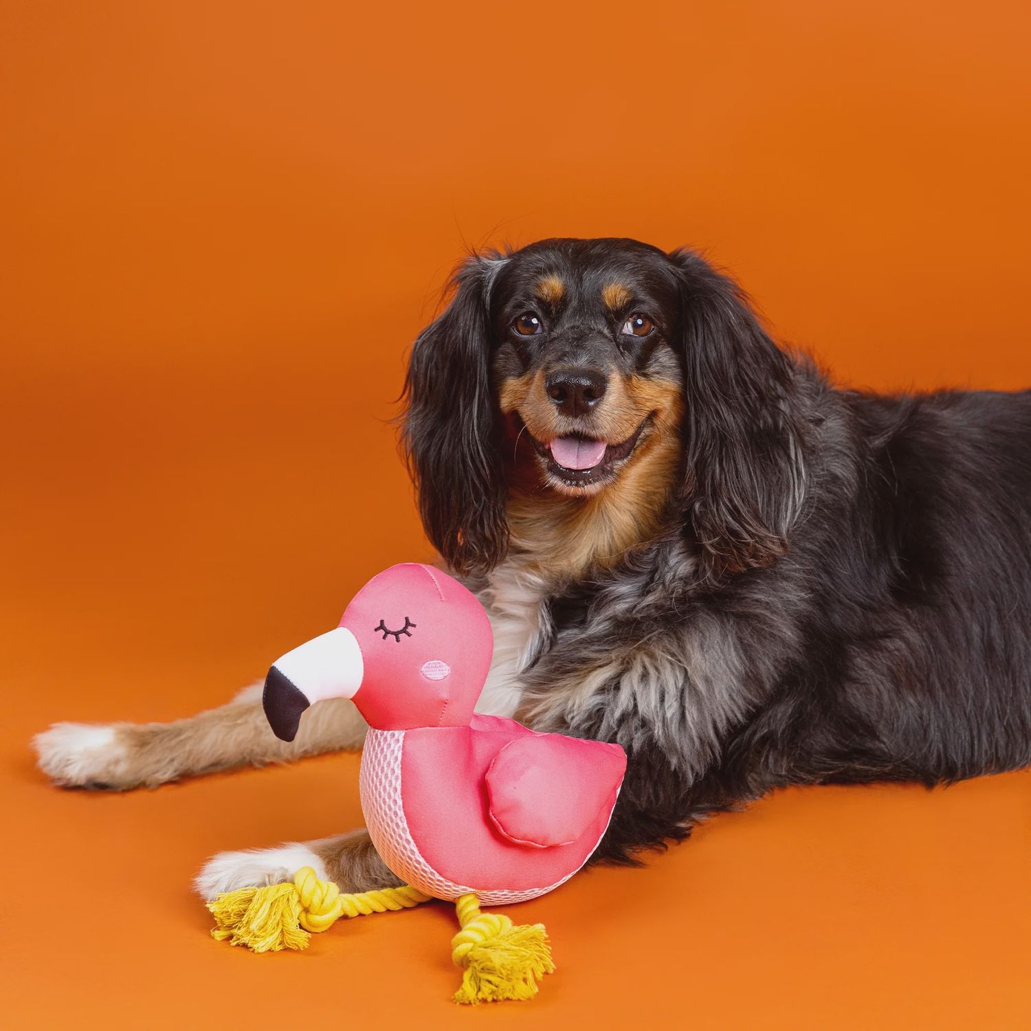 BE FLAMAZING FLOATING TOY