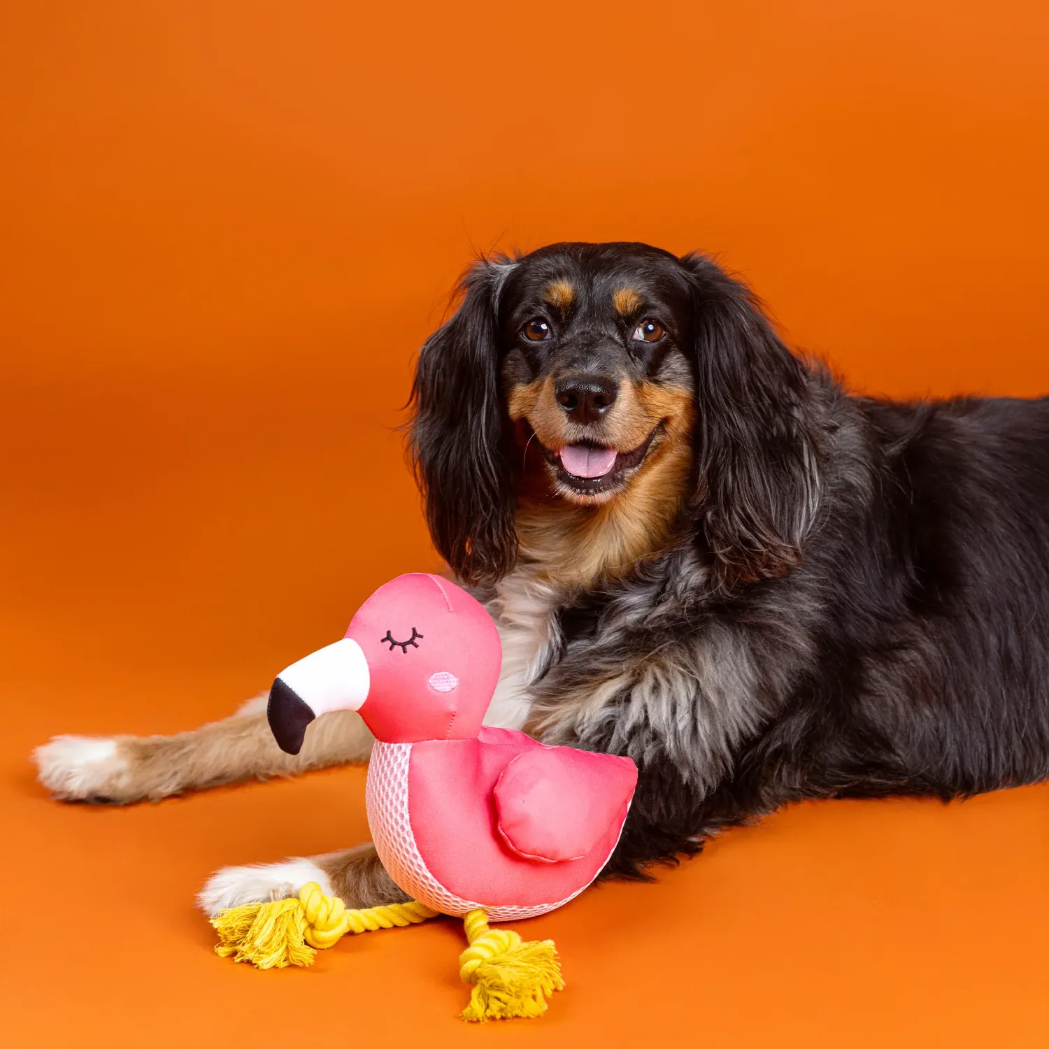 BE FLAMAZING FLOATING TOY