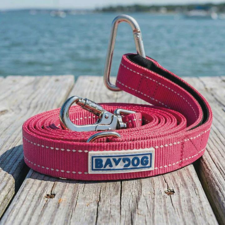 HUDSON LEASH PINK 6'