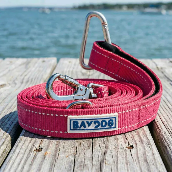 HUDSON LEASH PINK 6'