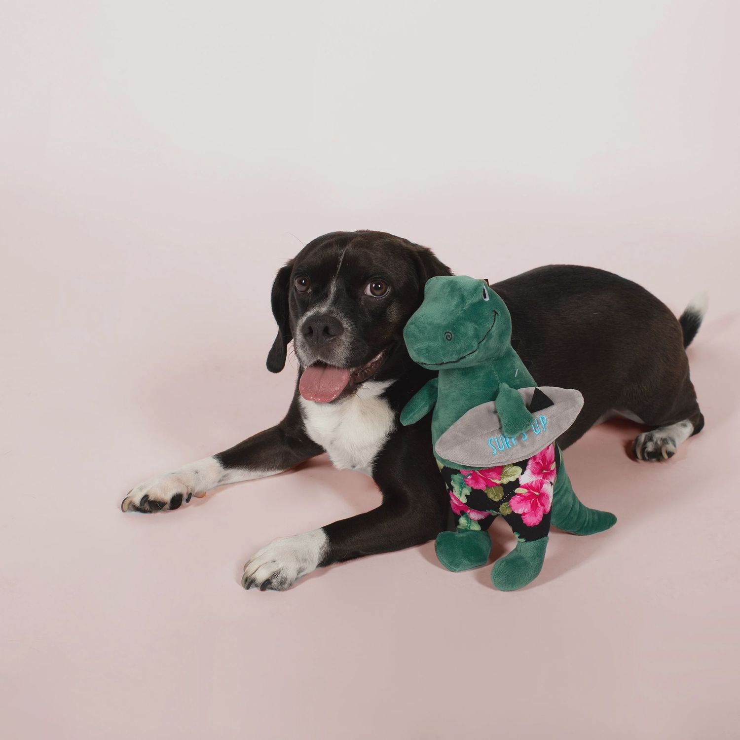 SURFER BRO REX PLUSH
