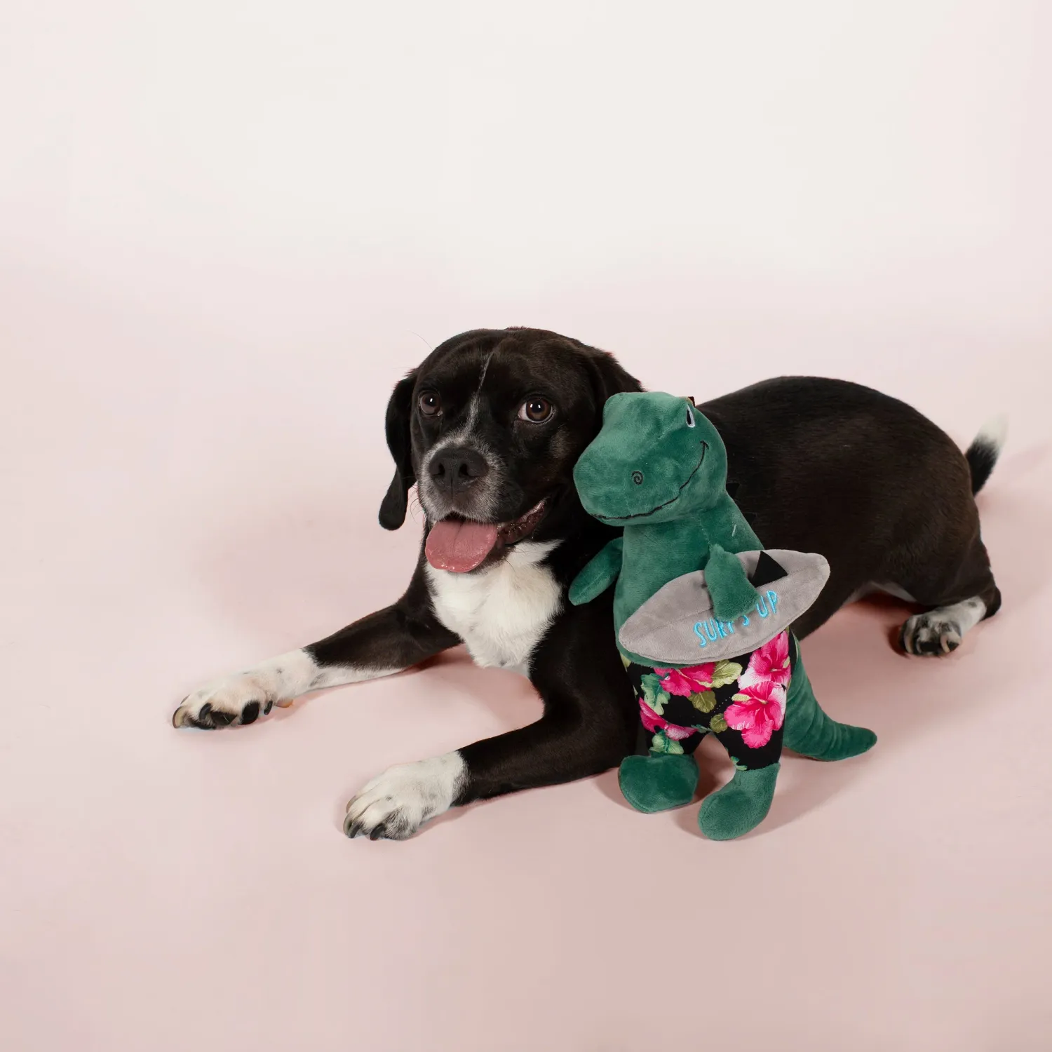 SURFER BRO REX PLUSH