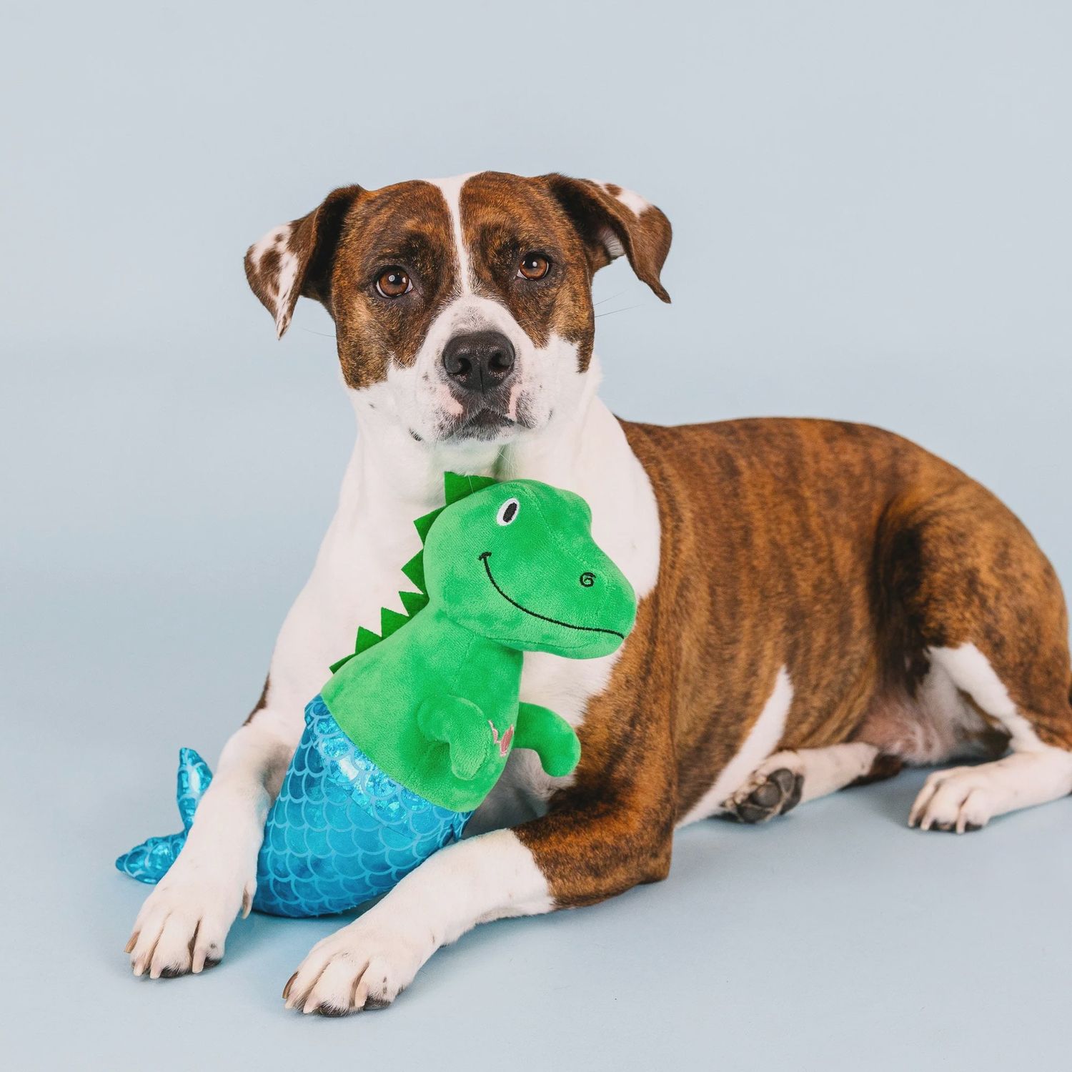 MER-REX PLUSH