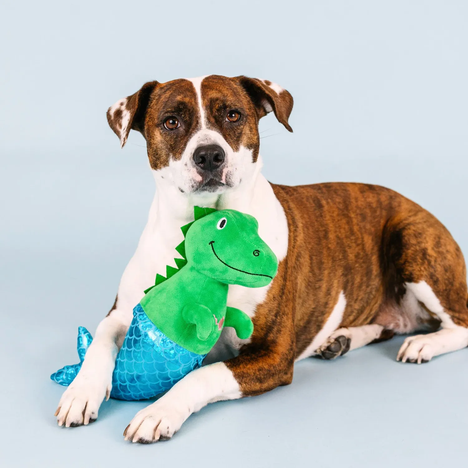 MER-REX PLUSH